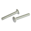 Fangjin carriage screws